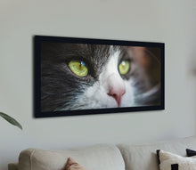 Load image into Gallery viewer, &quot;Cat Eyes Intense&quot;
