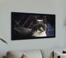 Load image into Gallery viewer, &quot;Cat Lounging&quot;
