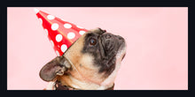 Load image into Gallery viewer, &quot;Pug Hat&quot;
