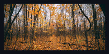 Load image into Gallery viewer, &quot;Autumn Leaves&quot;
