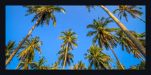 Load image into Gallery viewer, &quot;All the Palms&quot;
