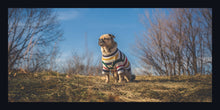 Load image into Gallery viewer, &quot;Majestic Pug&quot;
