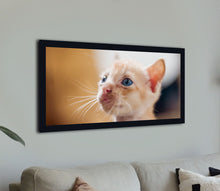 Load image into Gallery viewer, &quot;Orange Kitten&quot;
