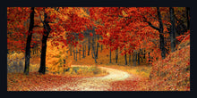 Load image into Gallery viewer, &quot;Colorful Fall&quot;
