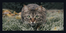 Load image into Gallery viewer, &quot;Cat in Grass&quot;
