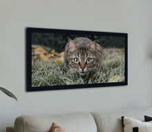 Load image into Gallery viewer, &quot;Cat in Grass&quot;
