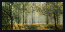 Load image into Gallery viewer, &quot;Forest Sunlight&quot;
