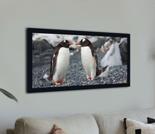 Load image into Gallery viewer, &quot;Penguins&quot;
