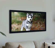 Load image into Gallery viewer, &quot;Husky Puppy&quot;
