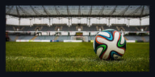 Load image into Gallery viewer, &quot;Soccer Ball&quot;
