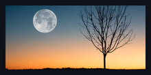 Load image into Gallery viewer, &quot;Sunset Moon&quot;
